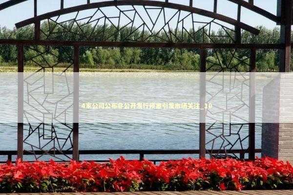 4家公司公布非公开发行预案引发市场关注_10 新闻