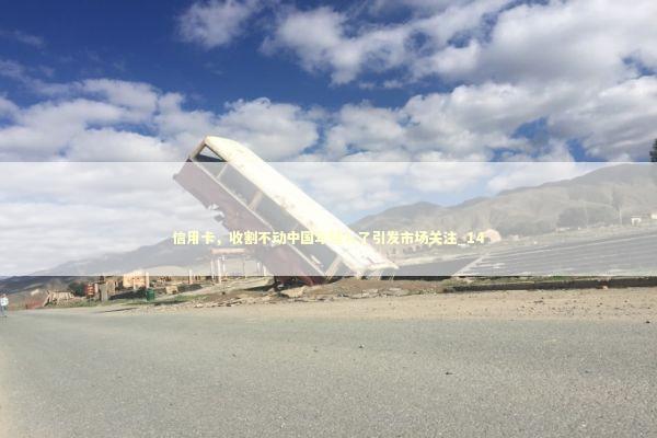 信用卡，收割不动中国年轻人了引发市场关注_14 新闻
