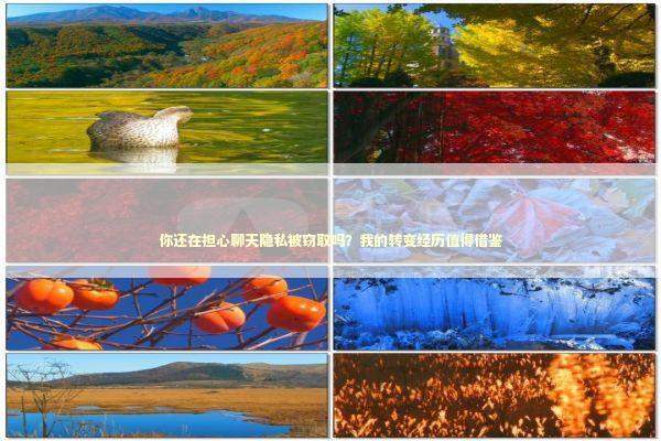 你还在担心聊天隐私被窃取吗？我的转变经历值得借鉴 新闻