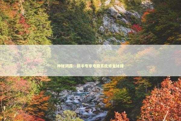 神秘揭露：新手专享电脑系统修复秘籍 新闻