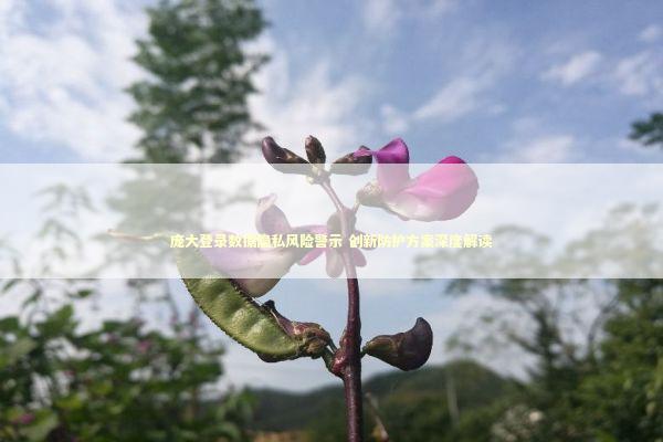 庞大登录数据隐私风险警示 创新防护方案深度解读 庞大登录数据隐私风险警示 创新防护方案深度解读 新闻