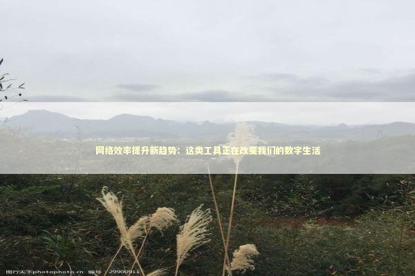 网络效率提升新趋势：这类工具正在改变我们的数字生活 IT技术
