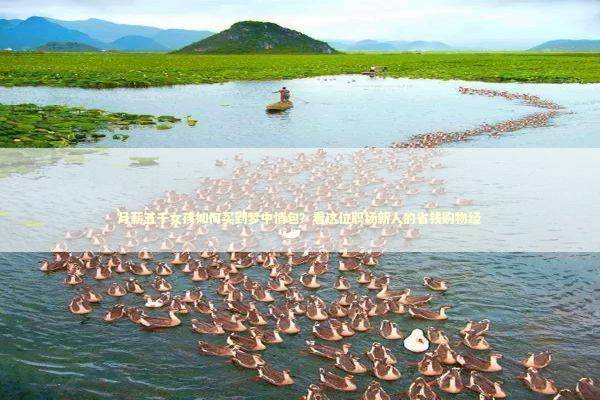 月薪五千女孩如何买到梦中情包？看这位职场新人的省钱购物经 时尚用品