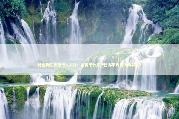 行业调研揭示惊人真相：这类平台用户留存率为何持续攀升？